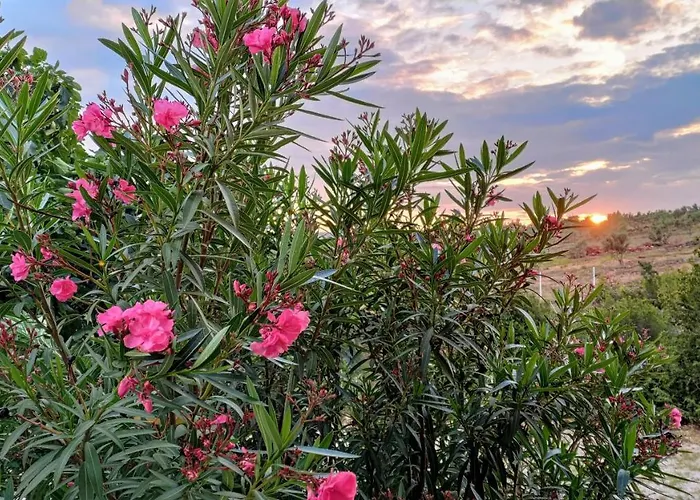 Апартаменты Marija *